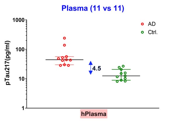 Anti-Tau (phospho T217) antibody [EPR24654-24] - BSA and Azide free(AB288167)