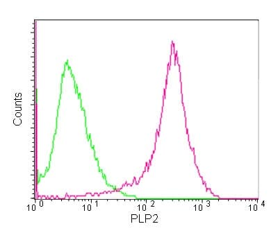 Anti-PLP2 antibody [EPR14238(B)] - BSA and Azide free(AB250143)