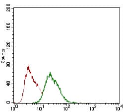 Rex1 Antibody 5e11e7 Ab175431  Flow Cytometry Img121576