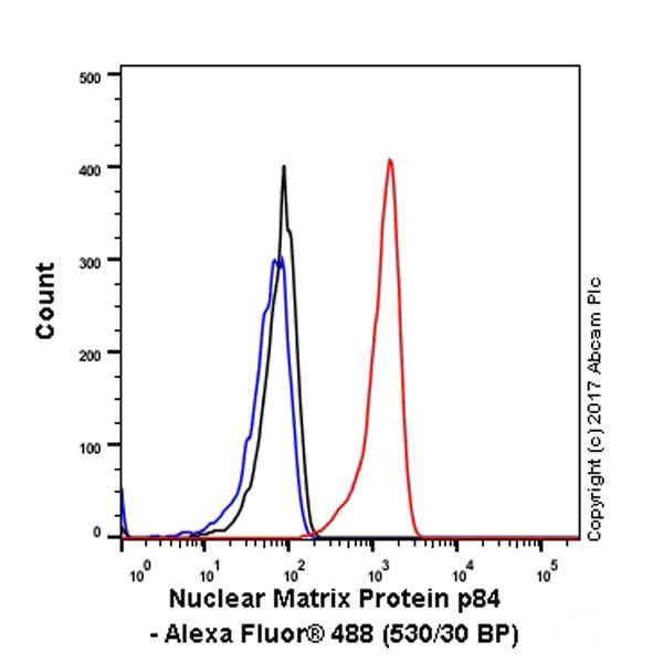 Anti-Nuclear Matrix Protein p84 antibody [EPR5662(2)] - BSA and Azide free(AB232034)