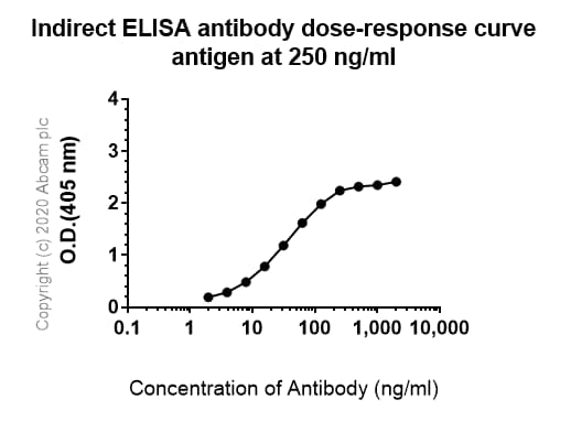 Anti-Angiotensin II Type 1 Receptor antibody [EPR3873](AB124734)