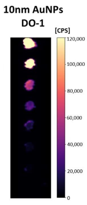 Gold Conjugation Kit (10 nm, 20 OD)(AB201808)