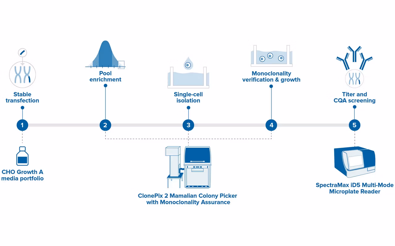 Molecular Devices Clonepix 2 Mammalian Colony Picker Stable Cell Line With Clonepix Workflow