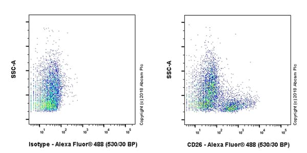 Anti-DPP4 antibody [EPR22233-135](AB229018)