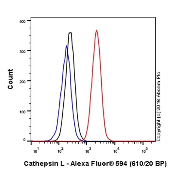 Alexa Fluor® 594 Anti-Cathepsin L/V/K/H antibody [EPR8011](AB208073)