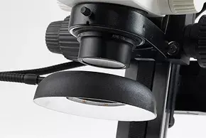 Leica LED3000 DI FB 4 14 Kid21765981 2