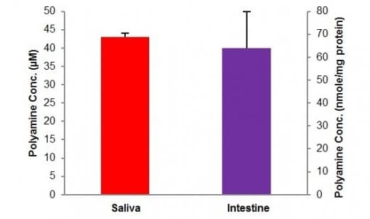Total Polyamine Assay Kit(AB239728)