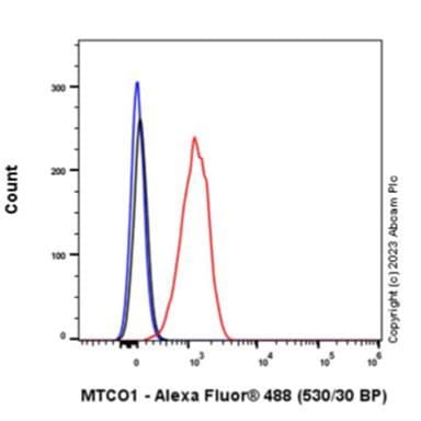 Anti-MTCO1 antibody [1D6E1A8](AB14705)