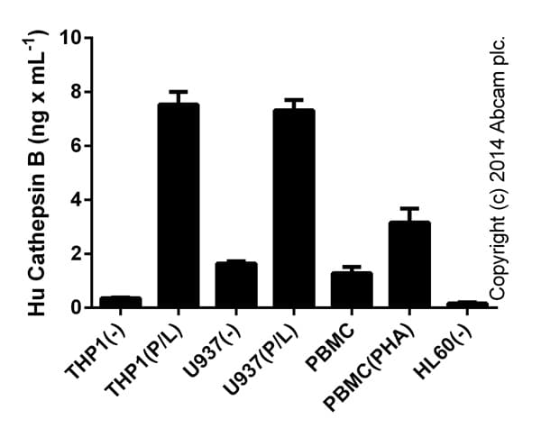Human Cathepsin B ELISA Kit(AB119584)