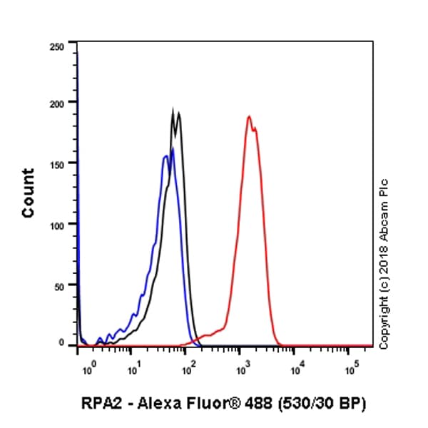 Anti-RPA32/RPA2 antibody [EPR2876(2)](AB109084)