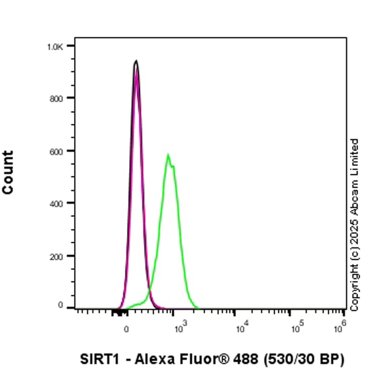 Anti-SIRT1 antibody [19A7AB4](AB110304)