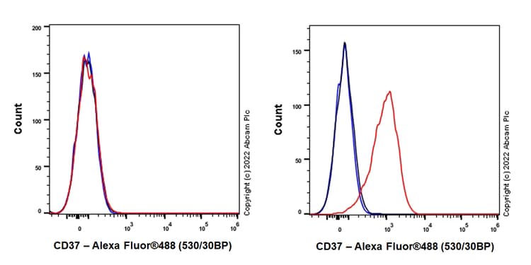 Anti-CD37 antibody [EPR25397-149] (BSA and Azide free)(AB300412)