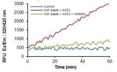 Angiotensin II Converting Enzyme (ACE2) Activity Assay Kit (Fluorometric)(AB273297)