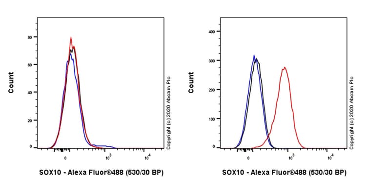 Anti-SOX10 antibody [SOX10/991](AB218522)