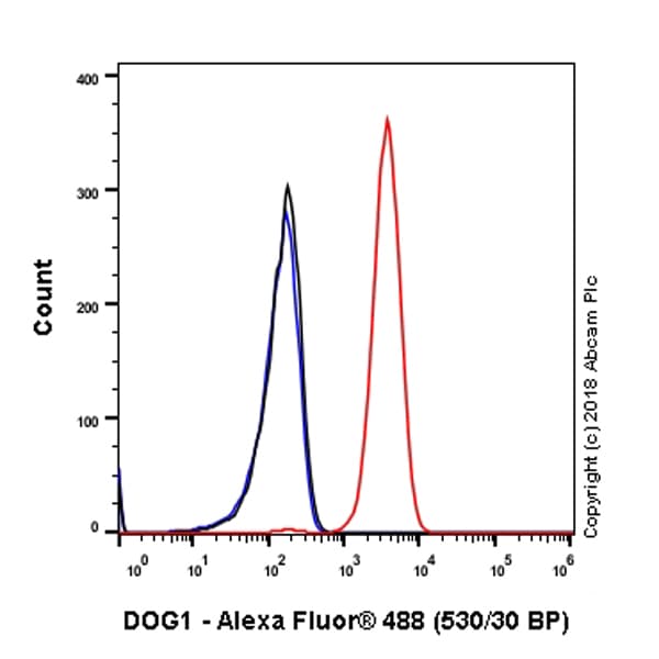 Anti-TMEM16A antibody [SP31](ab64085)