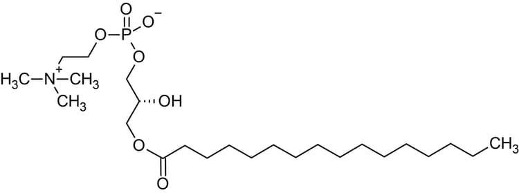 1 Palmitoyl Sn Glycero 3 Phosphorylcholine Ab143963  Chemical Structure Img165870