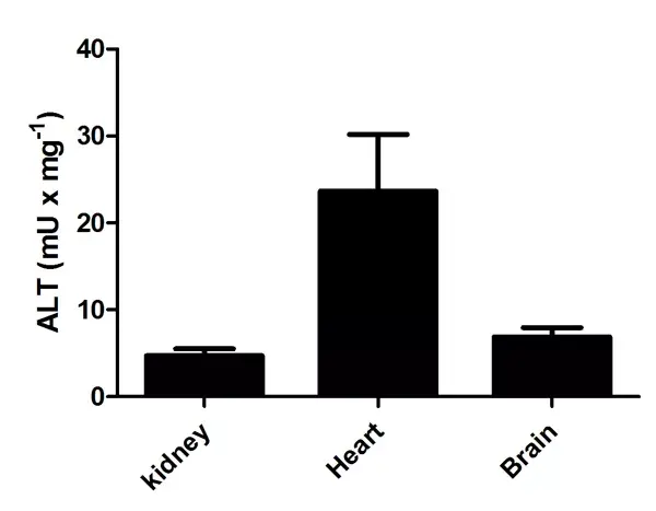 Alanine Transaminase Activity Assay Kit (Colorimetric/Fluorometric)(AB105134)