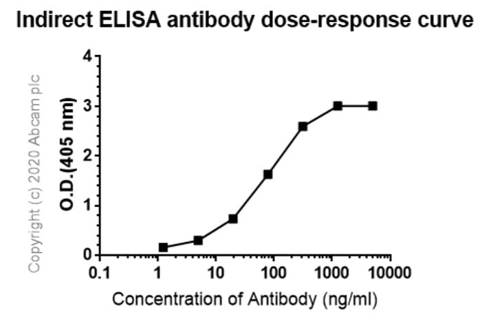 Anti-IgG antibody [R10Z8E9](AB124055)