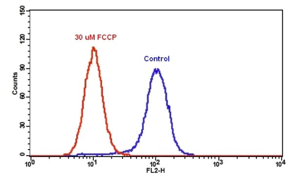 Orange Mitochondrial Membrane Potential Assay Kit (Flow Cytometry)(AB138898)