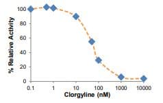 Monoamine Oxidase A (MAO-A) Inhibitor Screening Kit (Fluorometric)(AB284510)