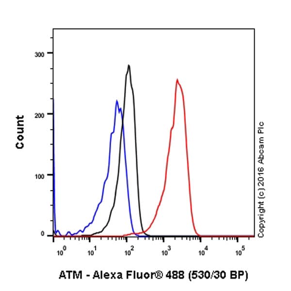 Anti-ATM (phospho S1981) antibody [EP1890Y](AB81292)