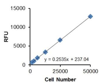 Cell Migration/Chemotaxis Assay Kit (24-well, 8 µm)(AB235694)
