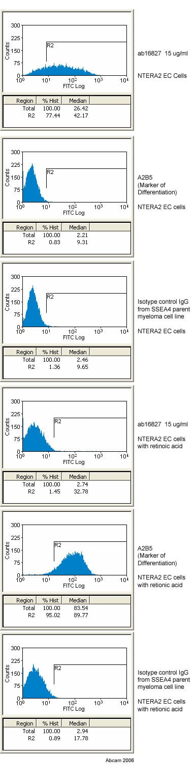 Anti-SSEA4 antibody [MC813-70](AB16287)
