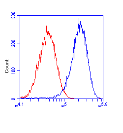 Anti-HADHA + HADHB antibody [4A8BG12](AB110302)