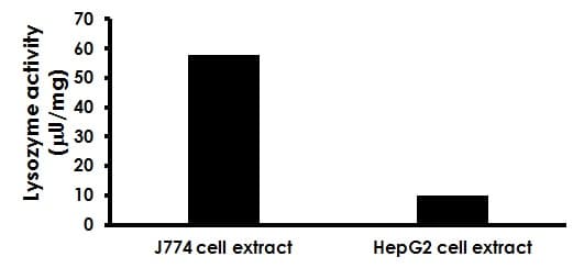 Lysozyme Activity Assay Kit (Fluorometric)(AB211113)