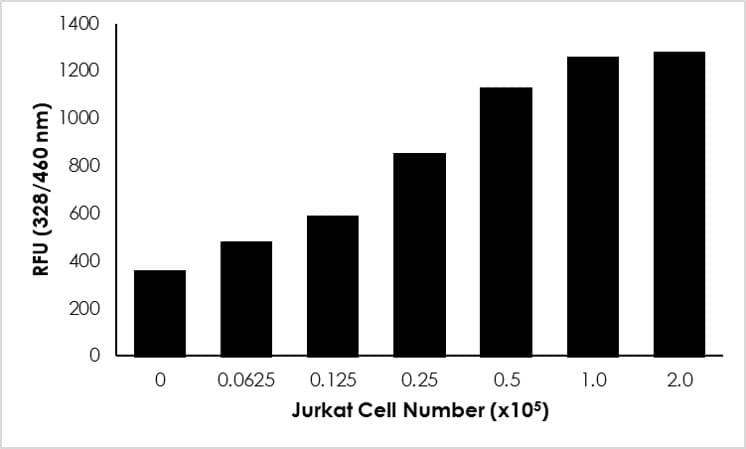 Cathepsin D Activity Assay Kit (Fluorometric)(ab65302)