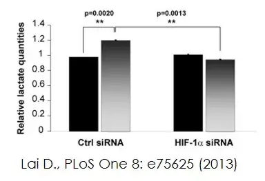 L-Lactate Assay Kit (Colorimetric/Fluorometric)(AB65330)