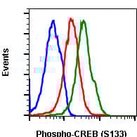 PE Anti-CREB (phospho S133) antibody [CREBS133-4D11](AB278739)