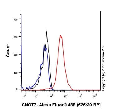 Anti-CNOT7 antibody [EPR18722](AB195587)