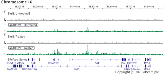 Anti-Estrogen Receptor alpha antibody [EPR4097](AB108398)