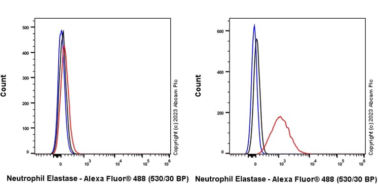 Anti-Neutrophil Elastase antibody [RM1077](AB314916)