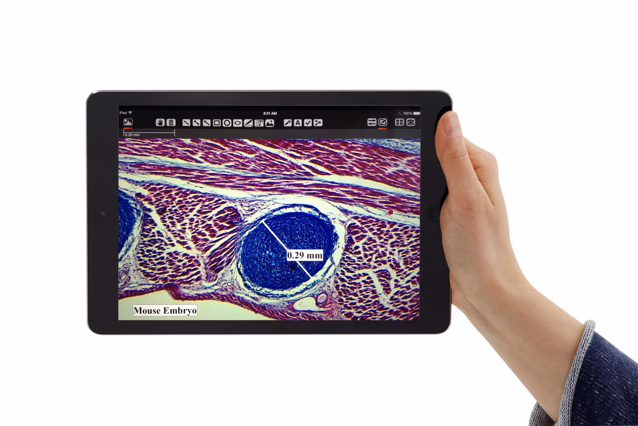 LAS EZ Imaging software for Windows OS for