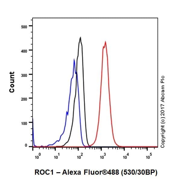 Anti-RBX1 antibody [EPR20185](AB221548)