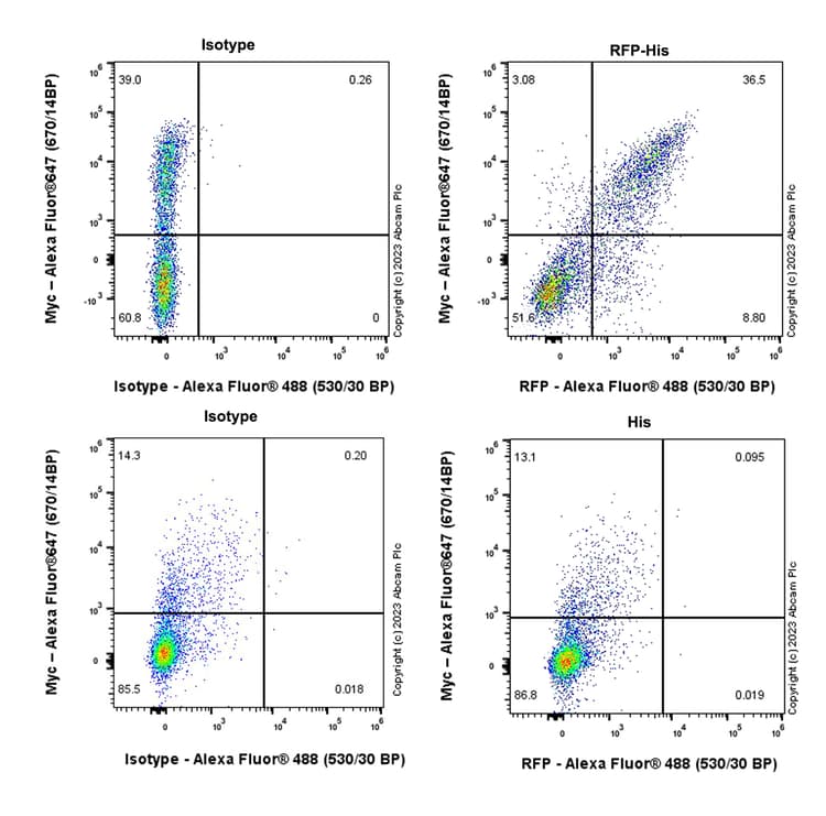 Anti-RFP antibody [EPR28246-45](AB314225)