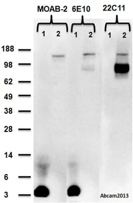 Anti-beta Amyloid antibody [MOAB-2](AB126649)
