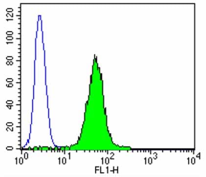 Anti-P4HB antibody [RL90](AB2792)