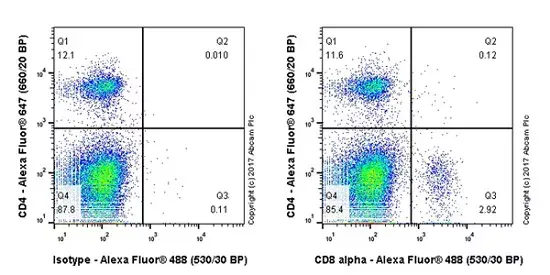 Anti-CD8 alpha antibody [EPR21769](AB217344)