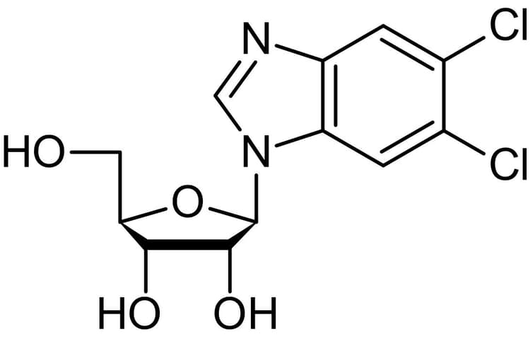 Drb Benzimidazole Casein Kinase Ii Inhibitor Ab120939  Chemical Structure Img185101