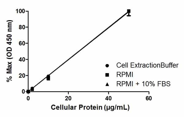 ERK1/2 (pT202/Y204) ELISA Kit(AB176640)