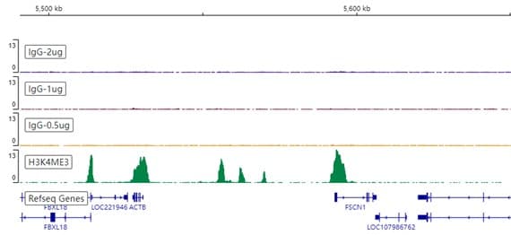 Rabbit IgG, monoclonal [EPR25A] - Isotype Control - BSA and Azide Free(AB210849)