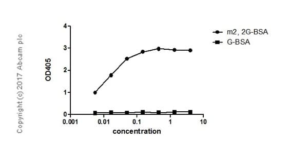 N2n2 Dimethylguanosine M22g Antibody Epr 19838 40 Ab211488  Elisa Img7866