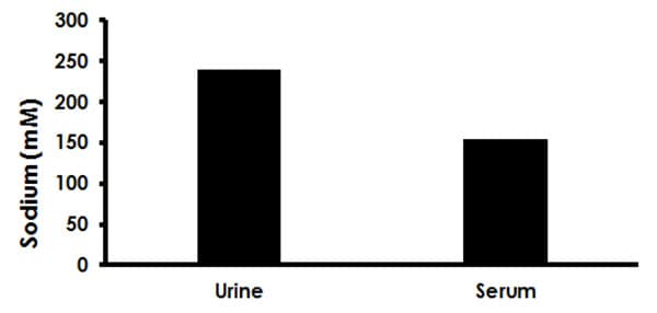 Sodium Assay Kit (Colorimetric)(AB211096)