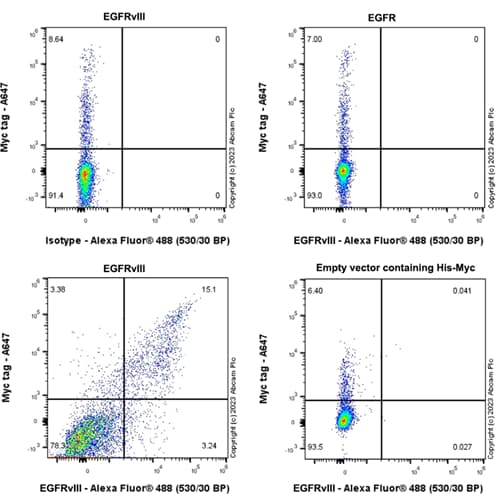 Egfrviii Antibody Epr28380 83 Bsa And Azide Free Ab313647  Flow Cytometry Intracellular Img418503