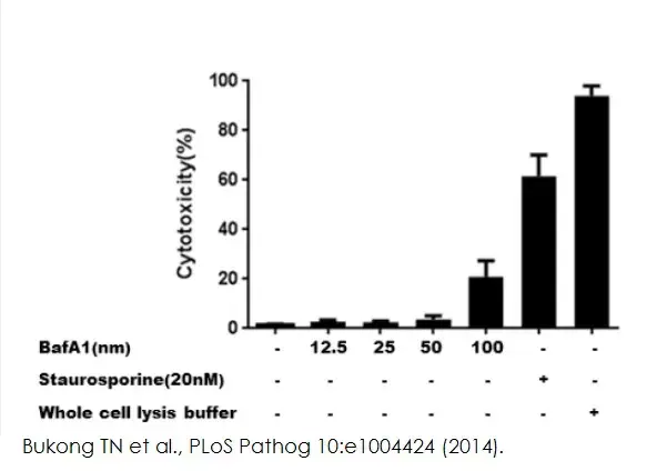 LDH Assay Kit (Cytotoxicity)(AB65393)