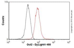 Oct 2 Antibody Epr542 Bsa And Azide Free Ab239913  Flow Cytometry Intracellular Img62648