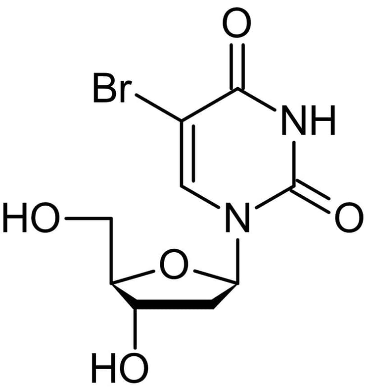 BrdU (5-bromo-2'-deoxyuridine), Thymidine analog(AB142567)